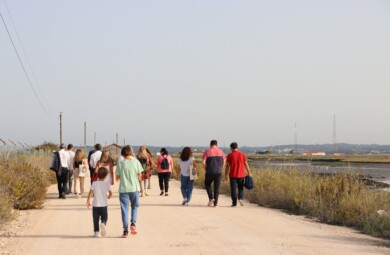 As voltas na ilha